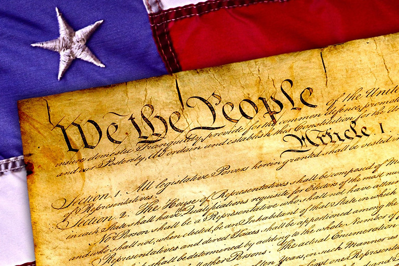 american constitution. we the people. article 1